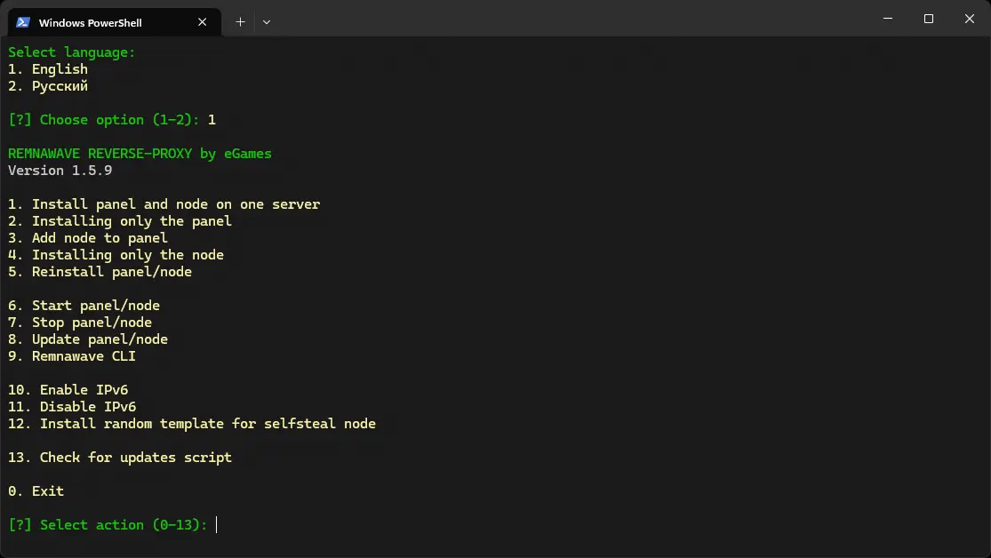 REMNAWAVE-REVERSE-PROXY